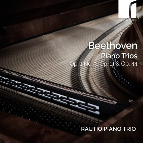The Rautio Trio returns in Beethoven
